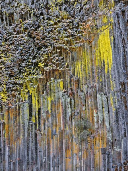 OR, Columnar basalt covered with lichen